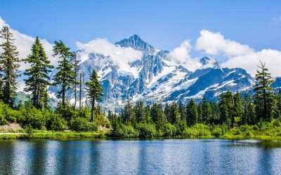 Estate Taxes in Washington State: Do You Need an Appraisal?